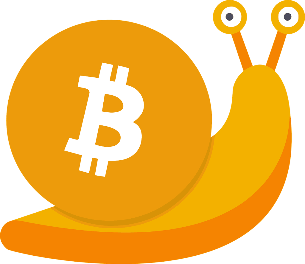 The Time is Now: Buy Bitcoin and Ride the Digital Currency Wave