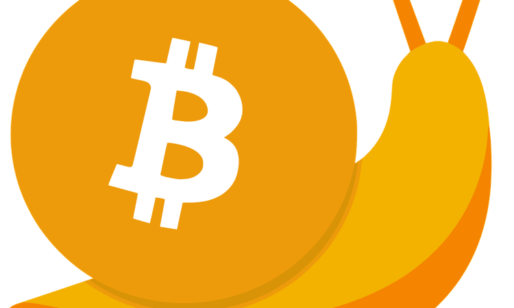 The Time is Now: Buy Bitcoin and Ride the Digital Currency Wave