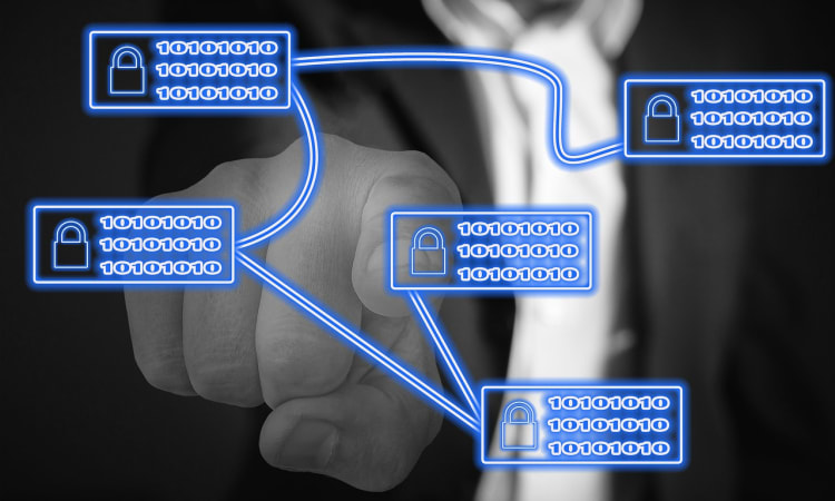 Navigating the Crypto World: Identifying Legitimate Exchanges